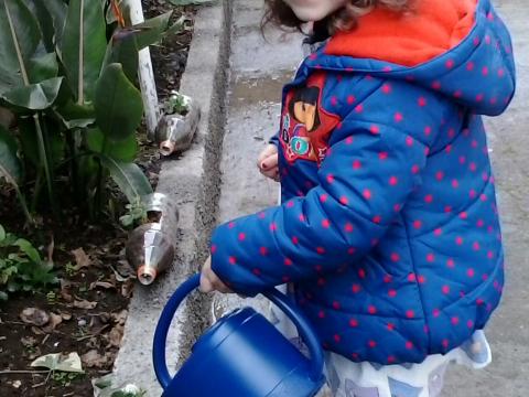 As crianças do Pré-Escolar adubaram os seus morangueiros.